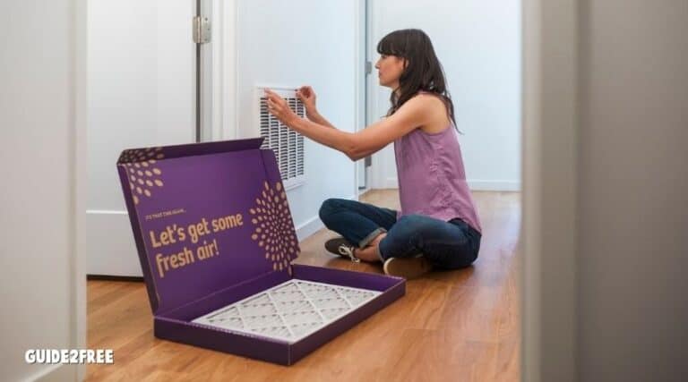 FREE Air Filter from Second Nature