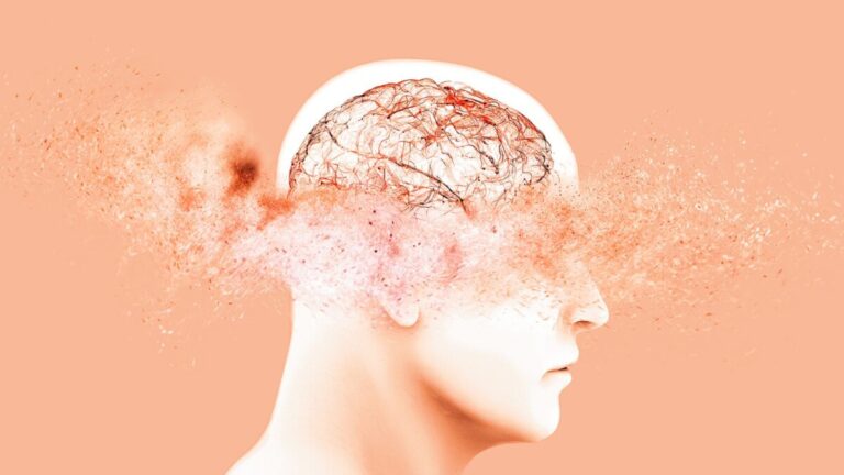 brain