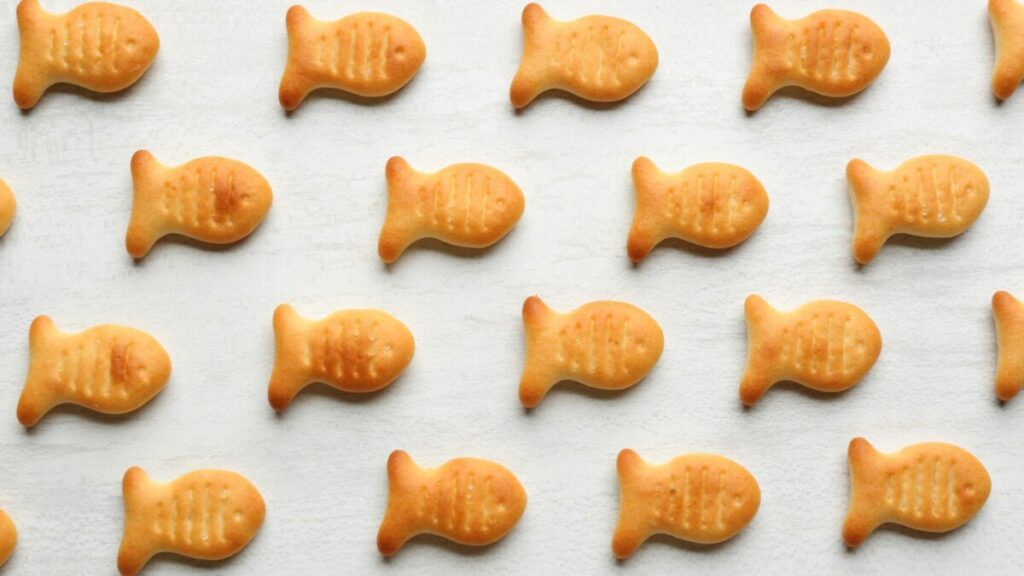 food crackers