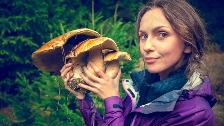 From Mushrooms to Matcha: 14 Food Trends Set to Dominate 2024 2 woman forest mushrooms