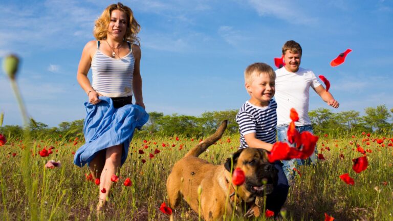 family run field happy